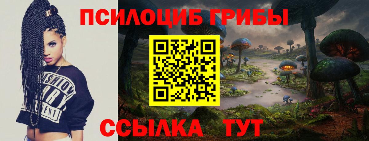 Галлюциногенные грибы Magic Shrooms Таганрог