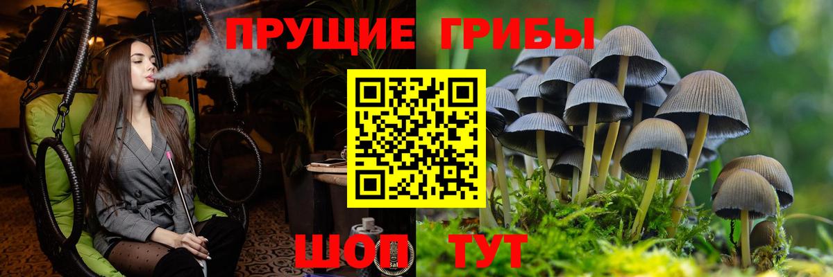 Таганрог  Псилоцибиновые грибы Psilocybine cubensis  цена наркотик  Вход с VPN 